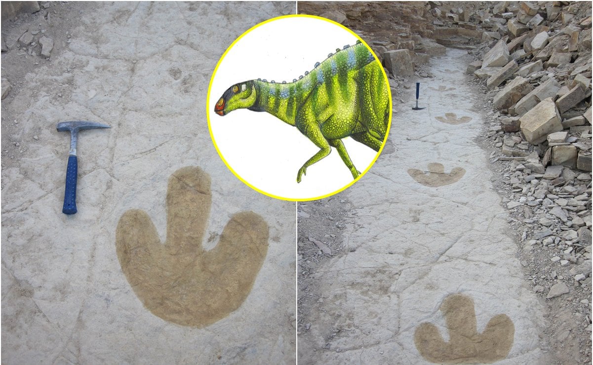 ¿Cómo se llama el municipio de Oaxaca donde existieron dinosaurios?